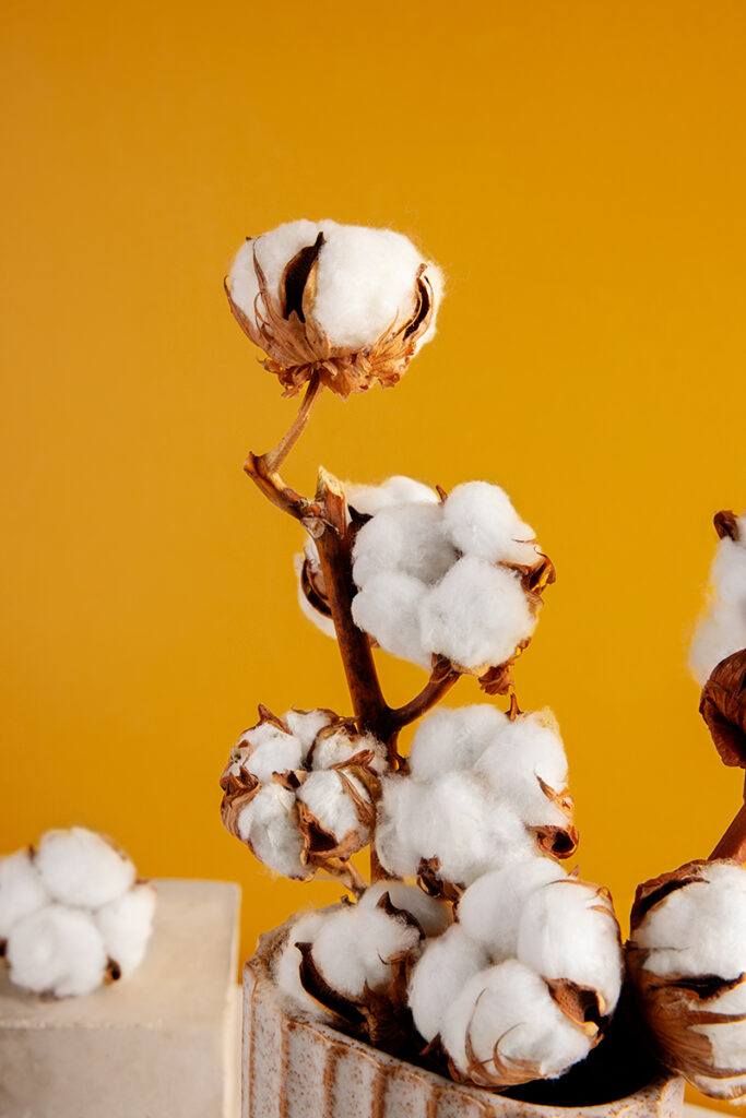 cbs-readytex-organic-cotton-manufacturer-7